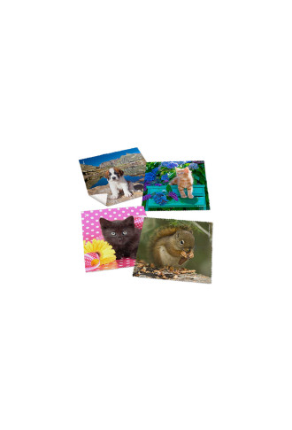 Microfibres collection "Bébés animaux 1" - 21 visuels - entretien & nettoyage lunettes - irisoft
