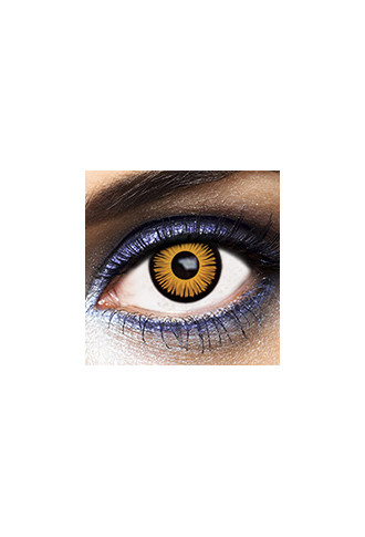Edward 1 Day Plan - lentilles fantaisies - irisoft